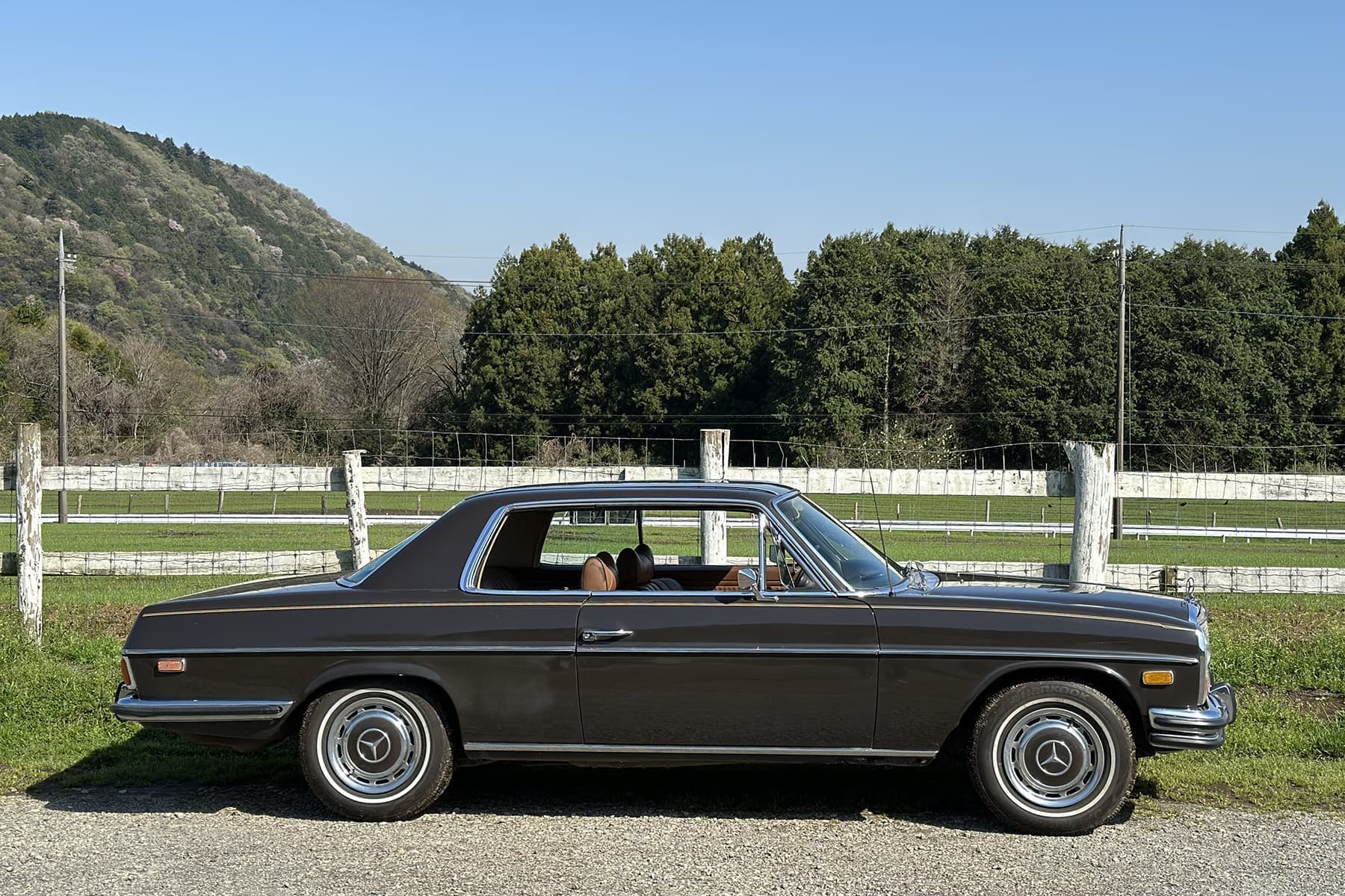 1972_w114_250c_coupe_03.jpg