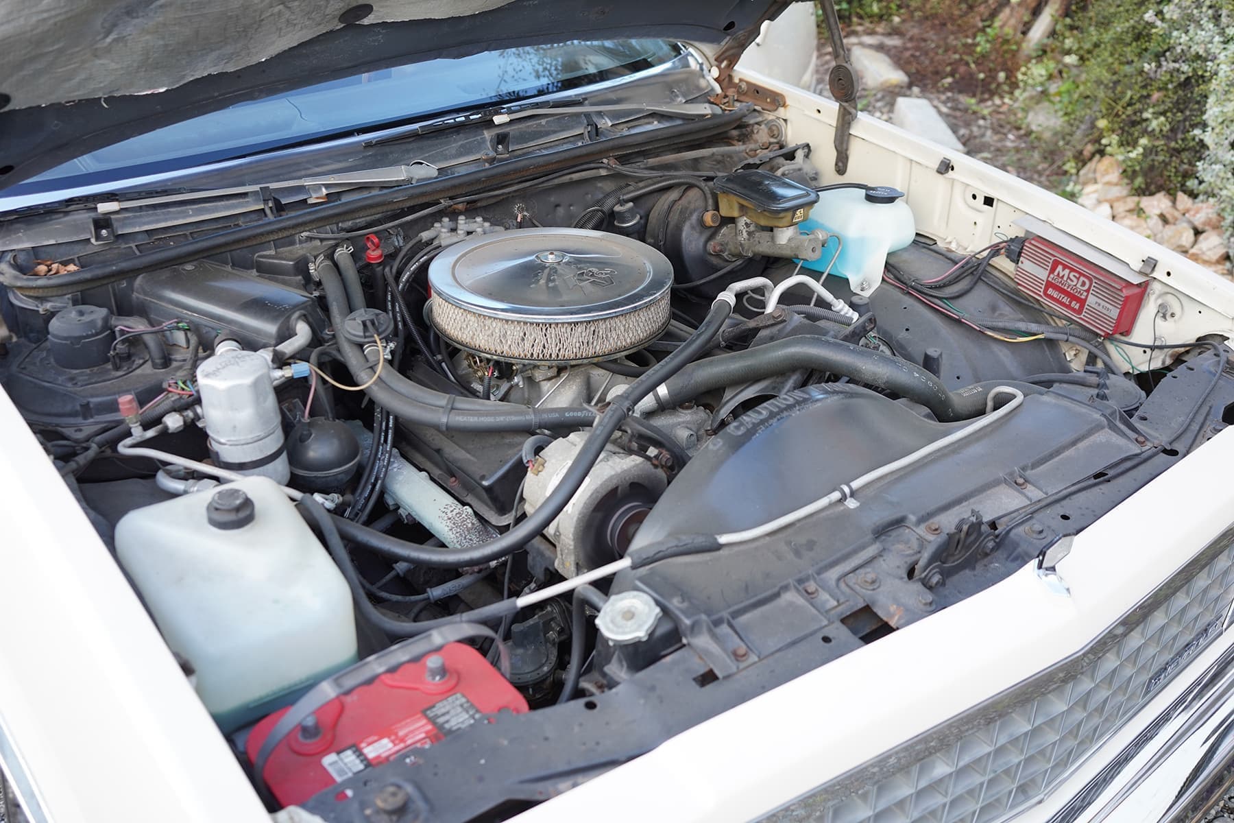 83_elcamino_11.jpg