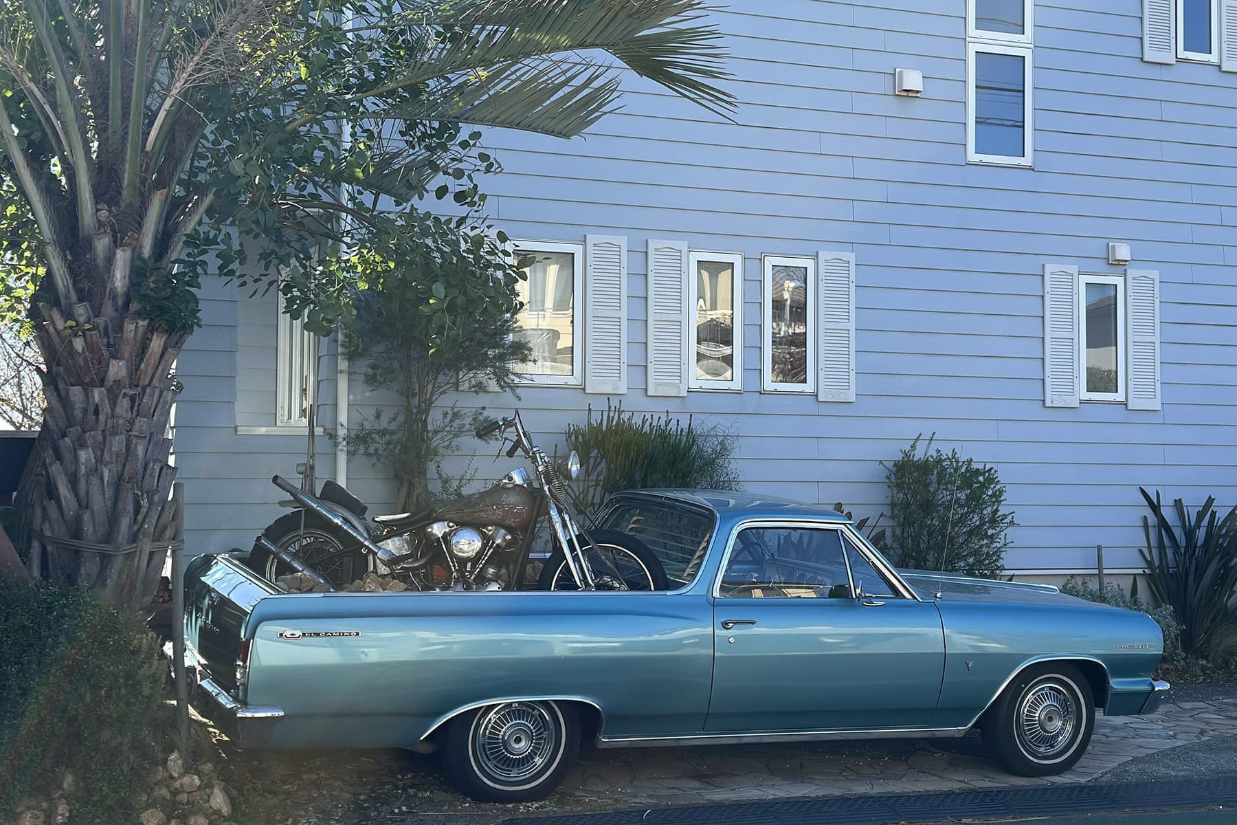 1964_elcamino_02_20250125153757491.jpg