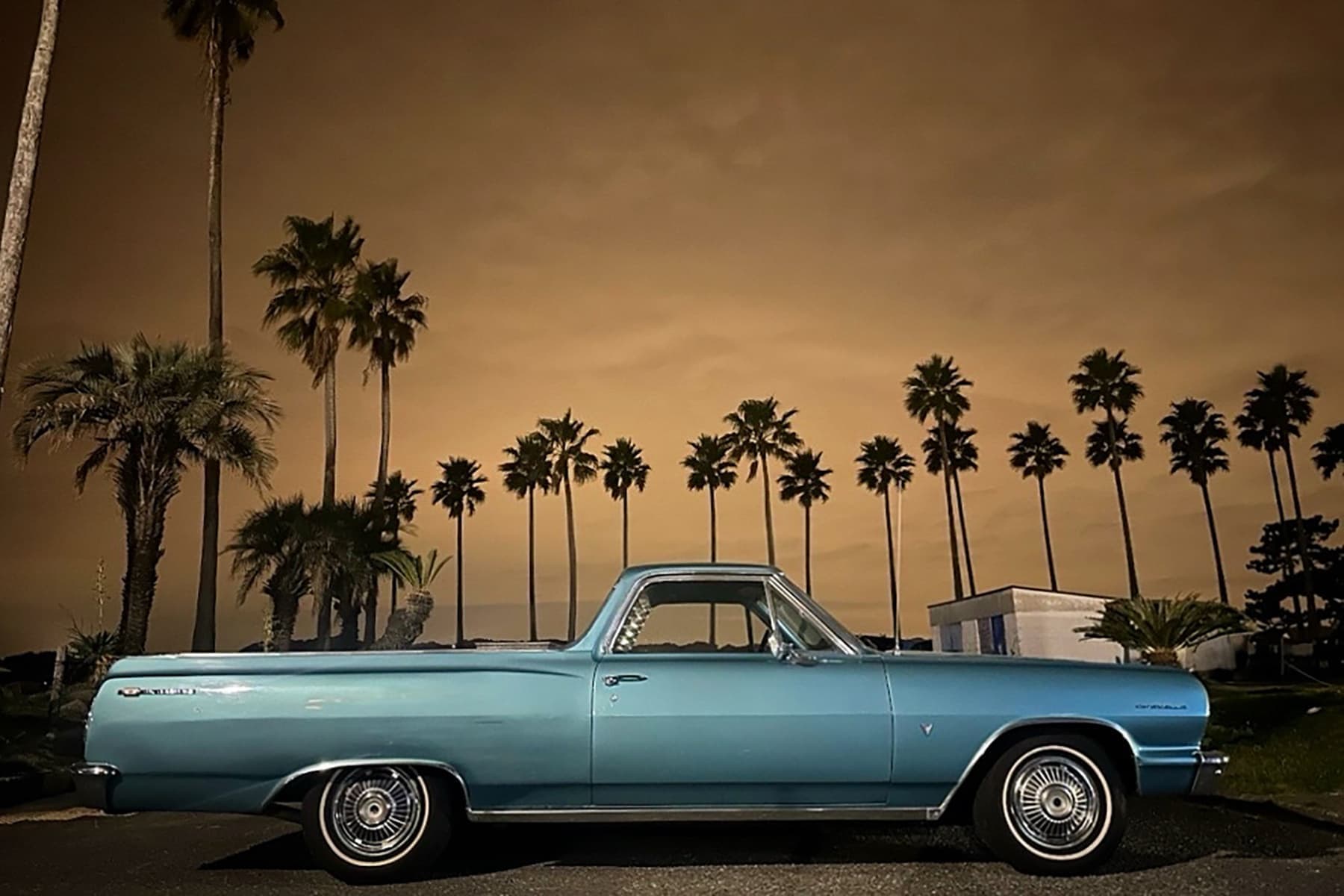 1964_elcamino_01_20250125153757481.jpg