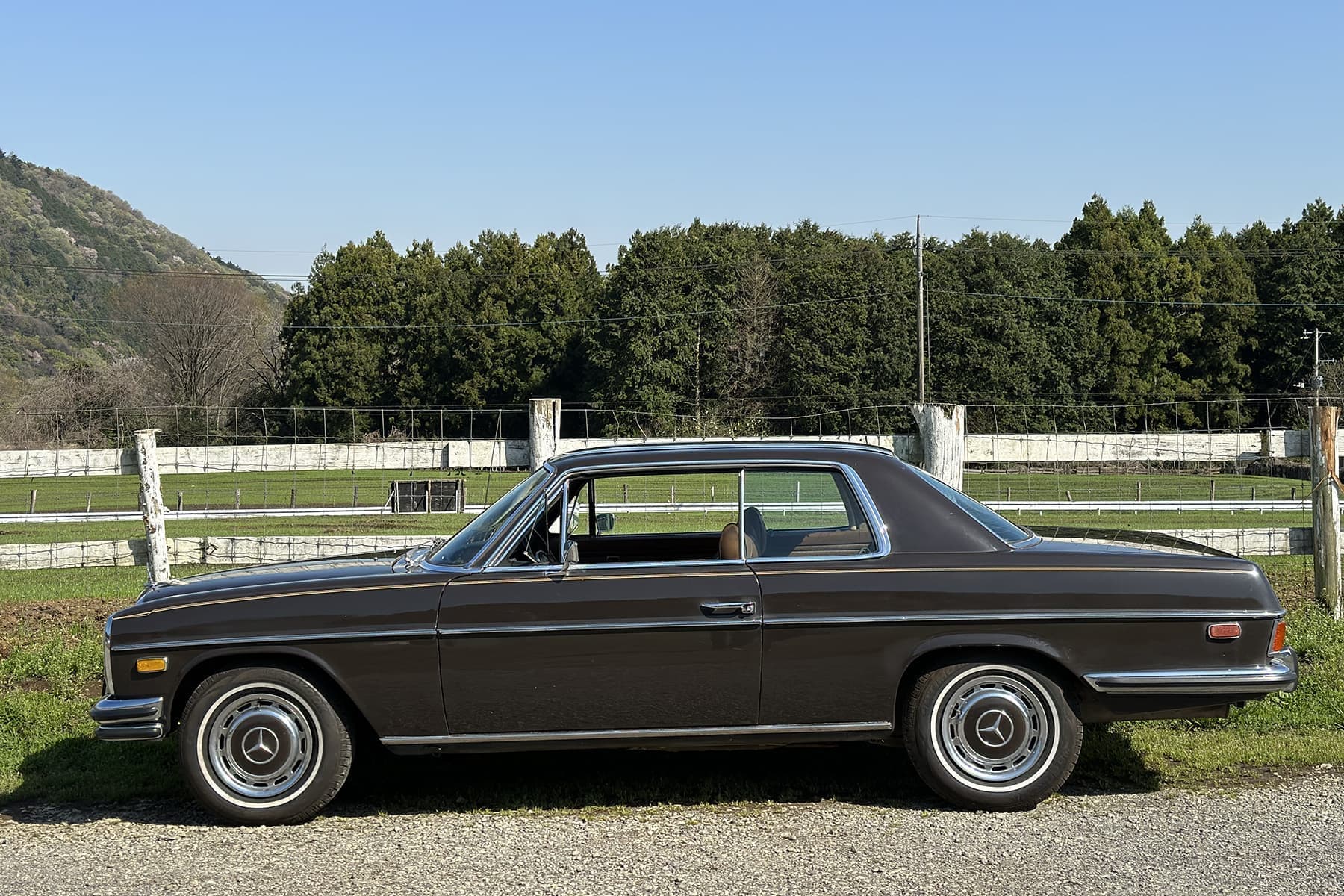 1972_w114_250c_coupe_02.jpg