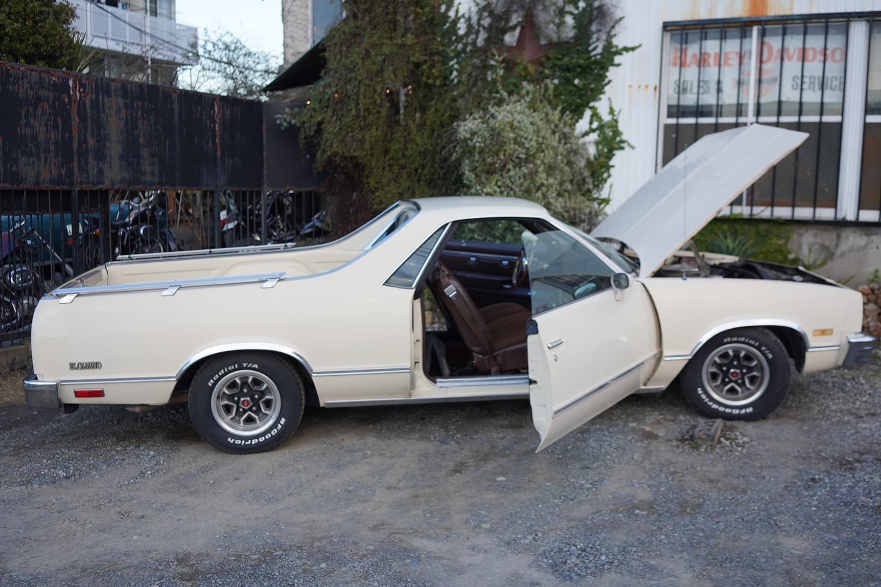 83_elcamino_14_20251026191725828.jpg