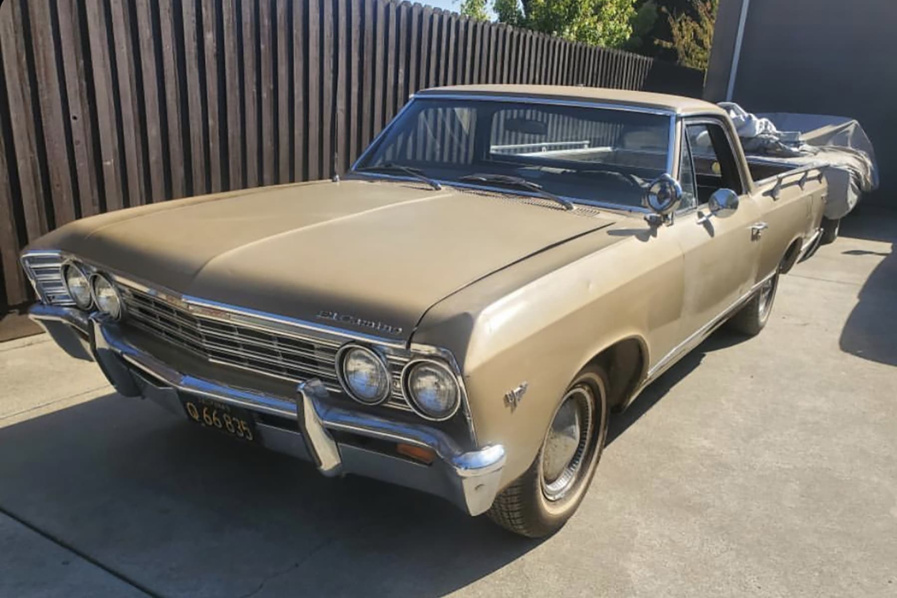 1967_elcamino_04_20251027070154398.jpg
